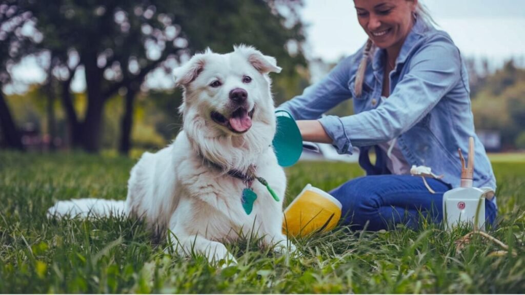 Eco-Friendly Pet Care Tips